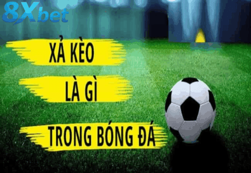 Cách xả kèo giúp kiểm soát rủi ro và lợi nhuận