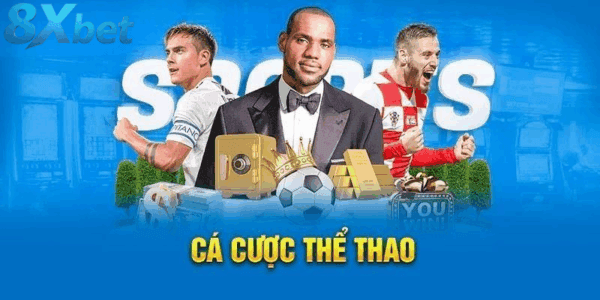 Định hướng toàn diện cho trải nghiệm thể thao 8xbet
