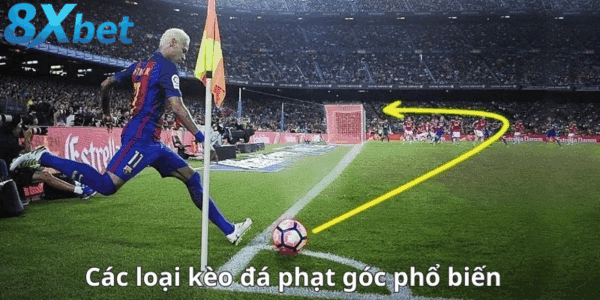 Những loại kèo phạt góc phổ biến nhất hiện nay