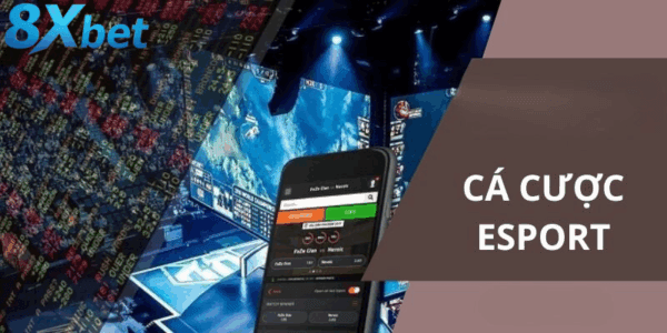 Những tính năng đặc sắc trong esport 8xbet