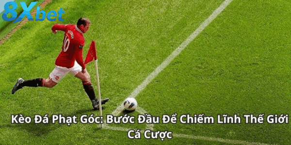 Chiến thuật và dữ liệu tạo lợi thế kèo phạt góc