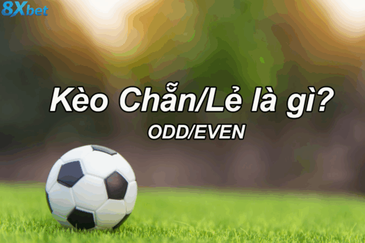 Khái niệm và cách chơi kèo chẵn lẻ